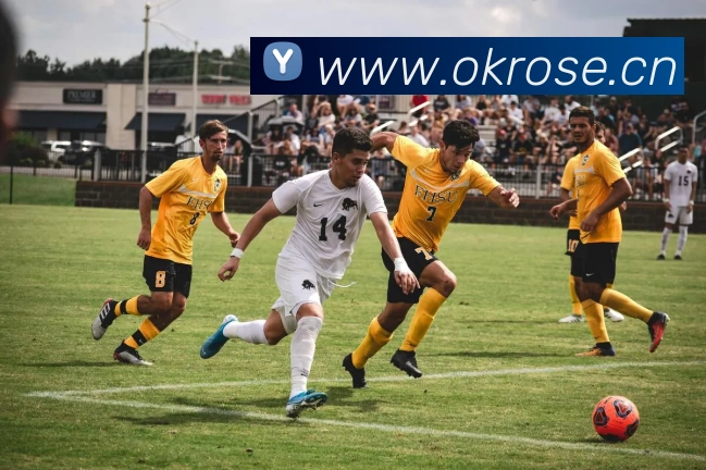 开云官方最新app下载平台生态图